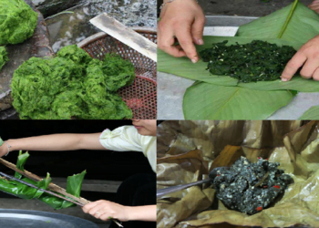 Rêu nướng